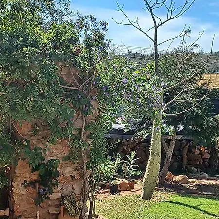 Σπίτι διακοπών Casa Bril